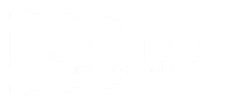 Meta Melon | Your Trusted Partner In Expert IT Solutions